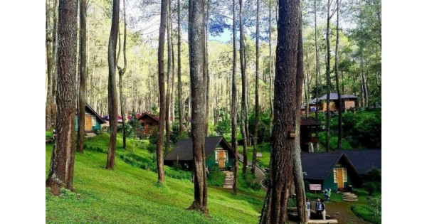 7 Tempat Wisata Outbound Di Bandung Terbaik